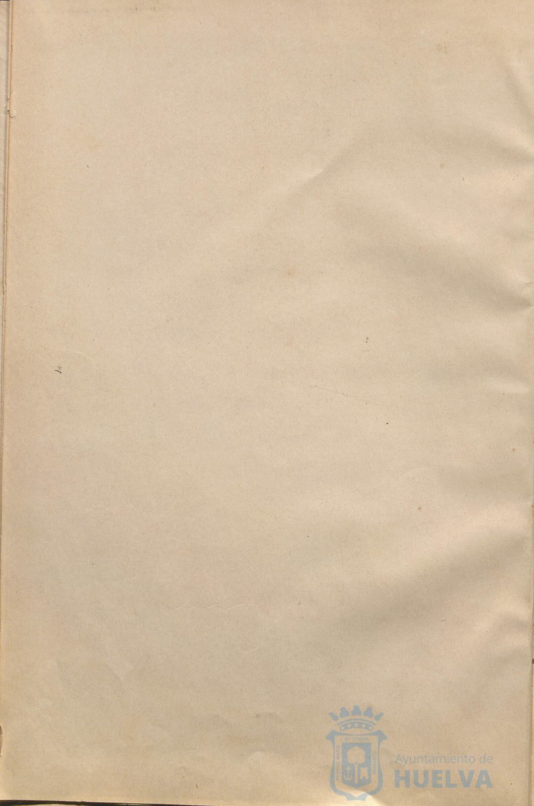 * Image 7