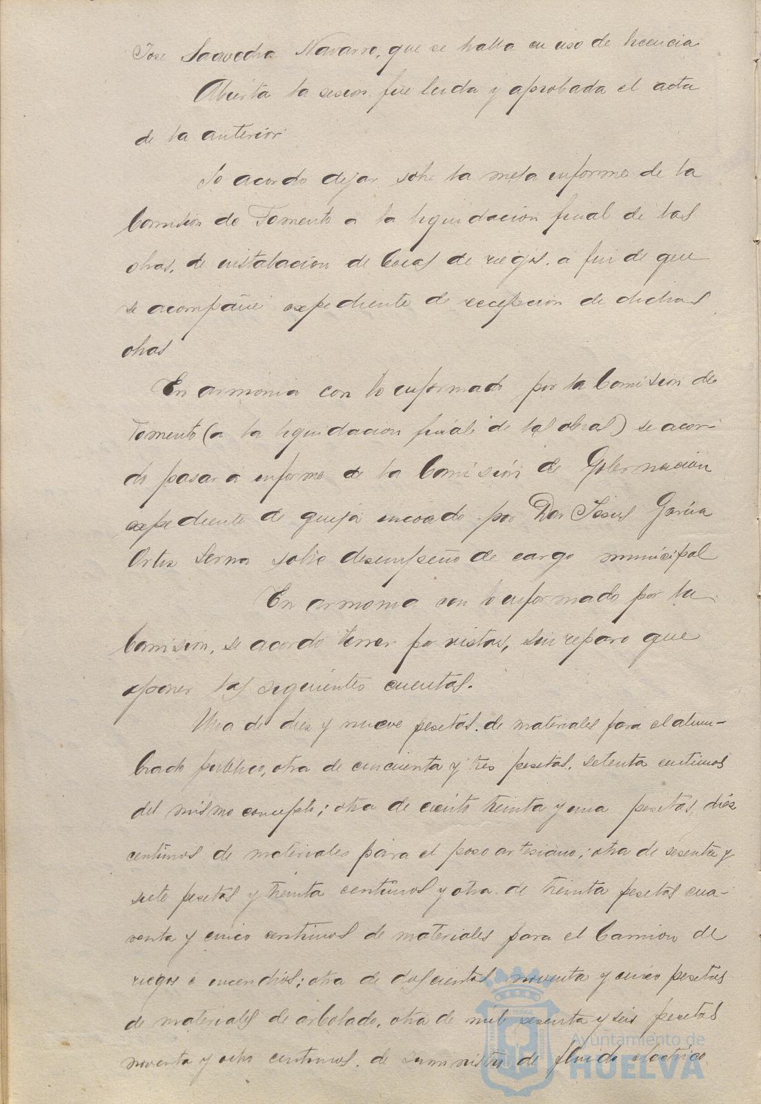 * Image 19
