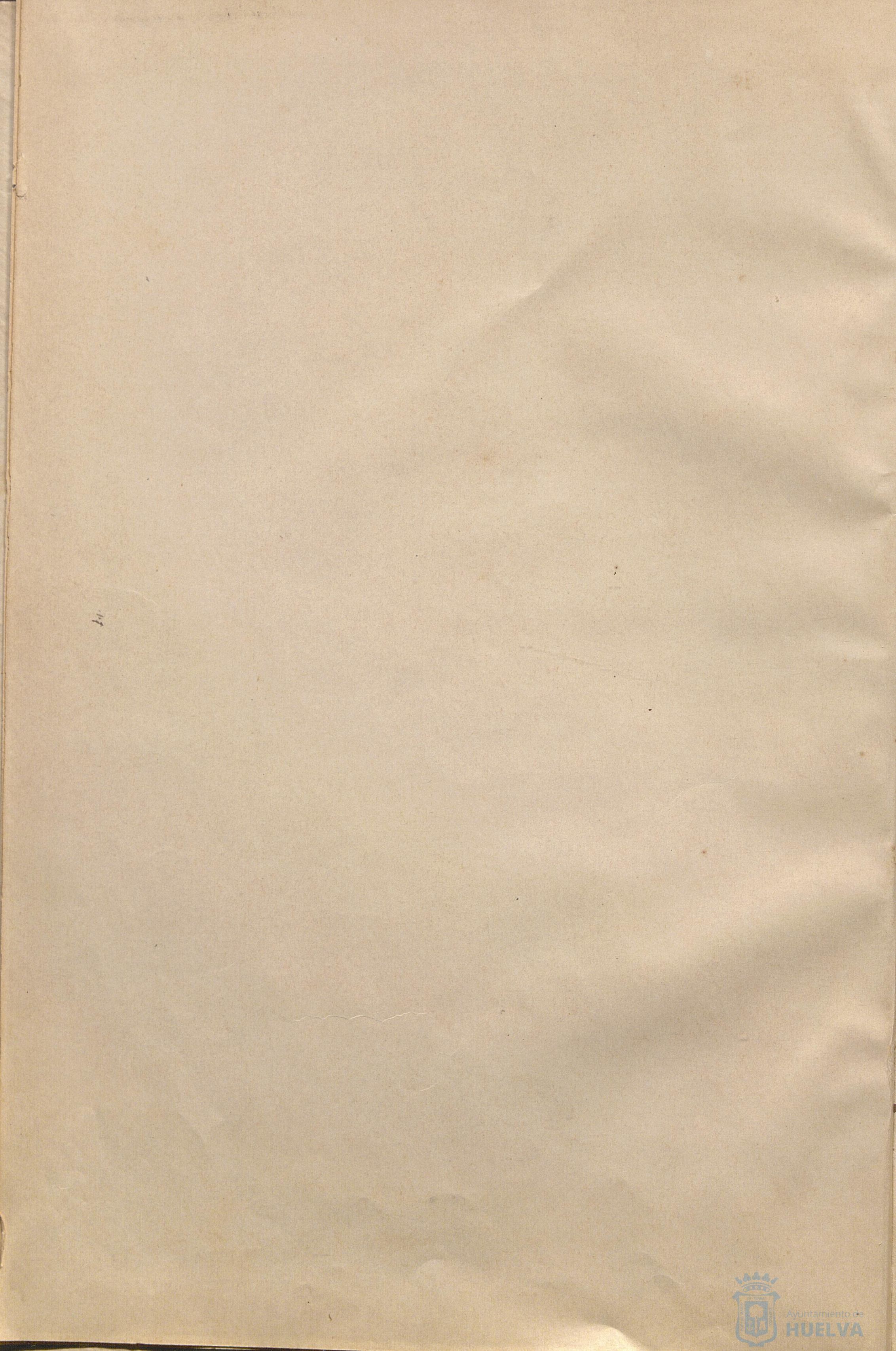 * Image 7