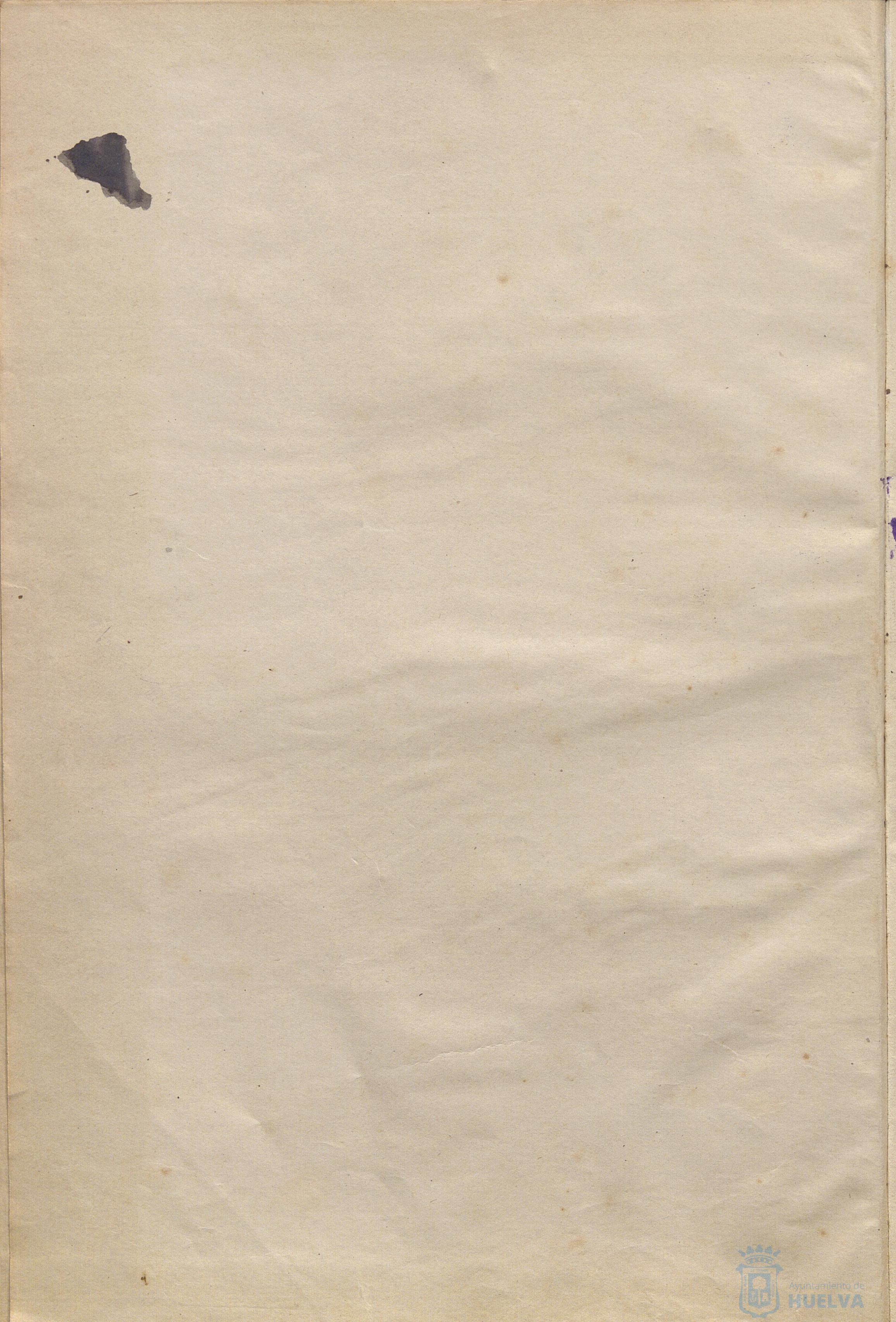 * Image 7