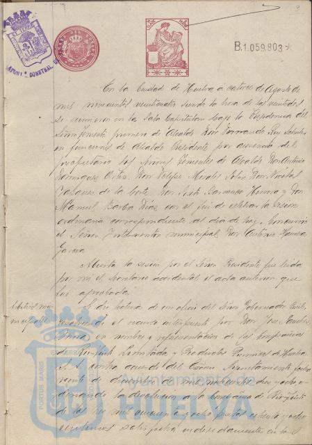 * Image 12