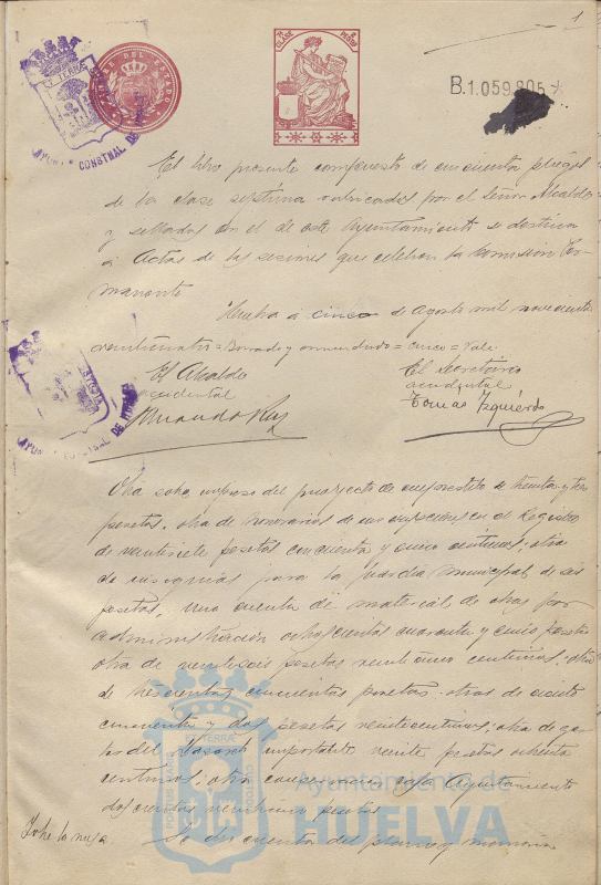 * Image 8