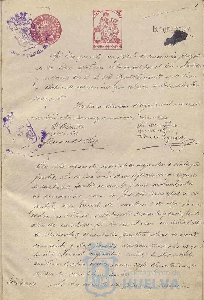 * Image 8