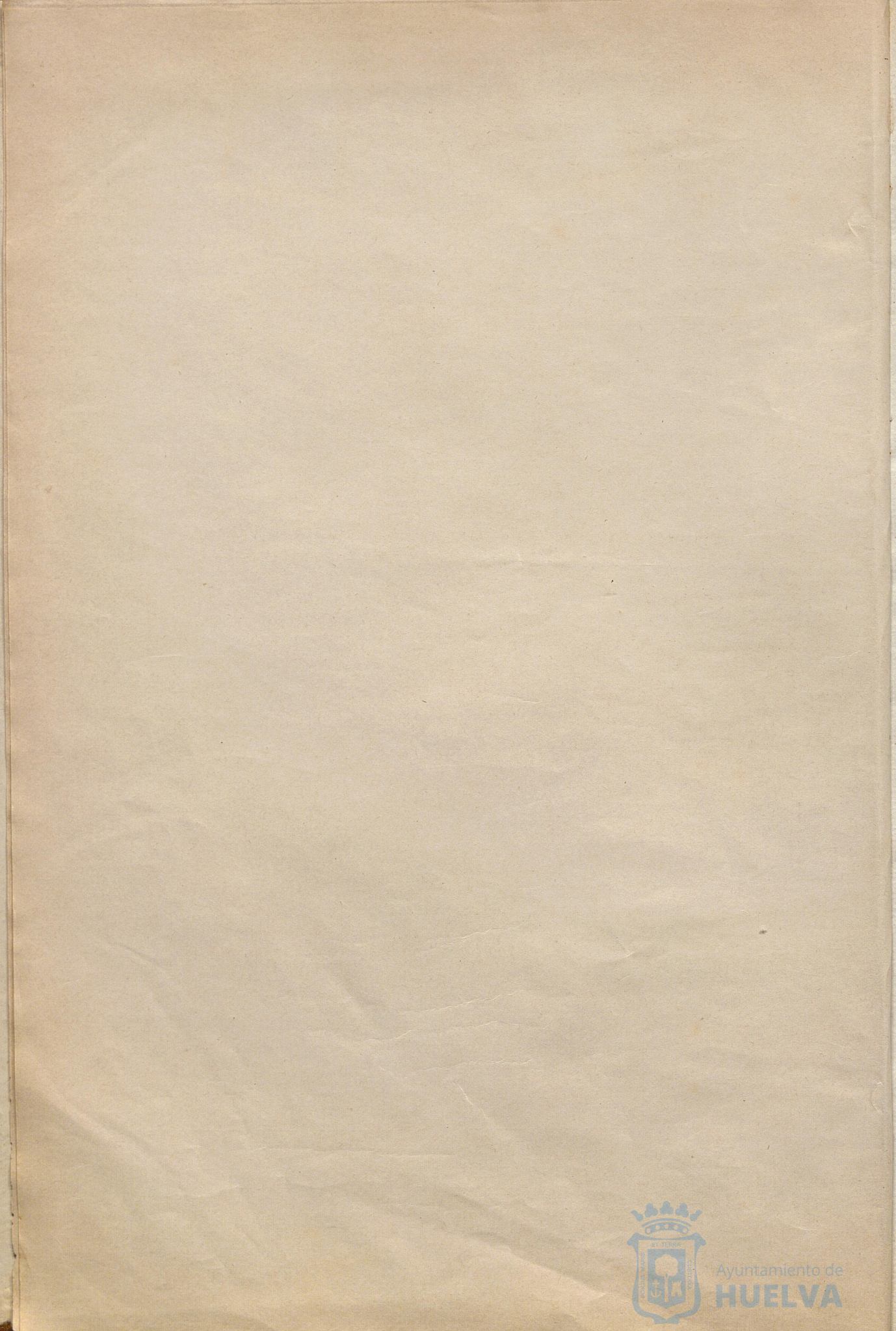 * Image 7