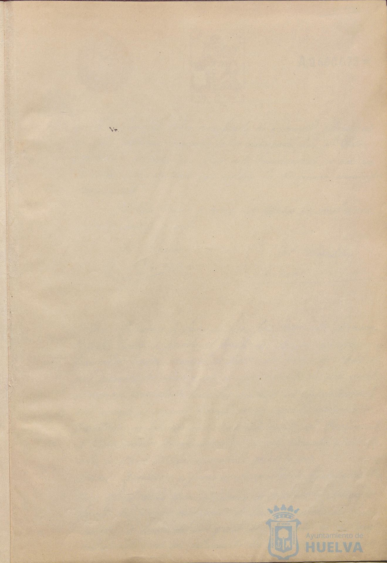 * Image 6