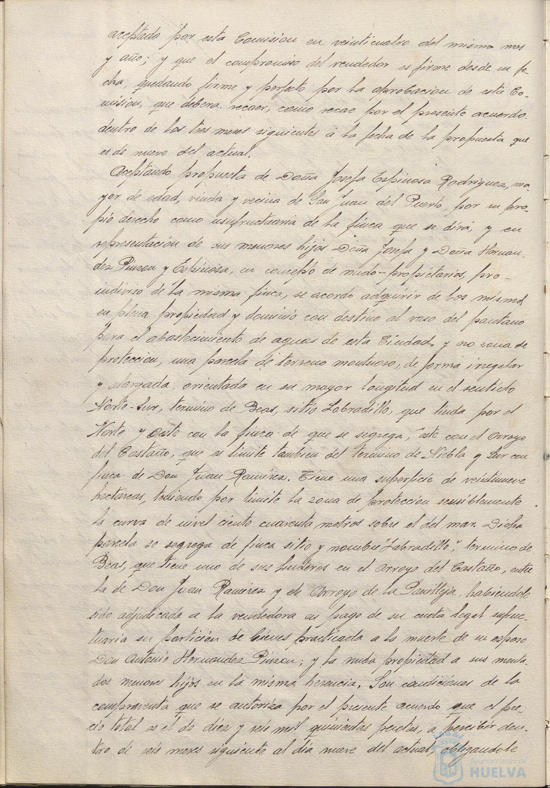 * Image 31