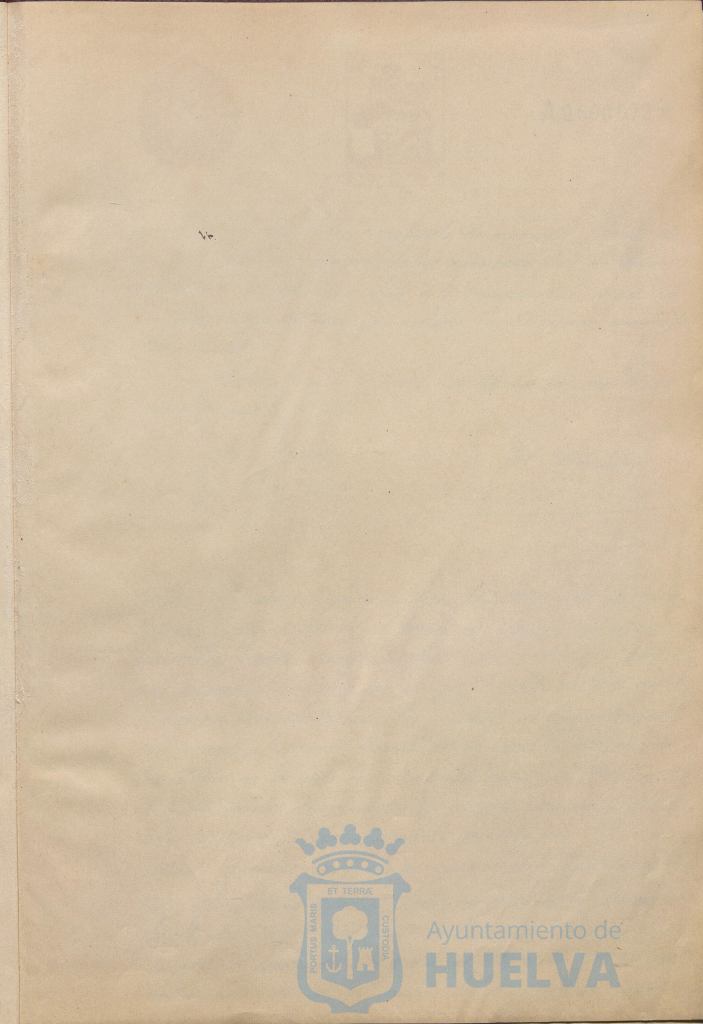 * Image 6