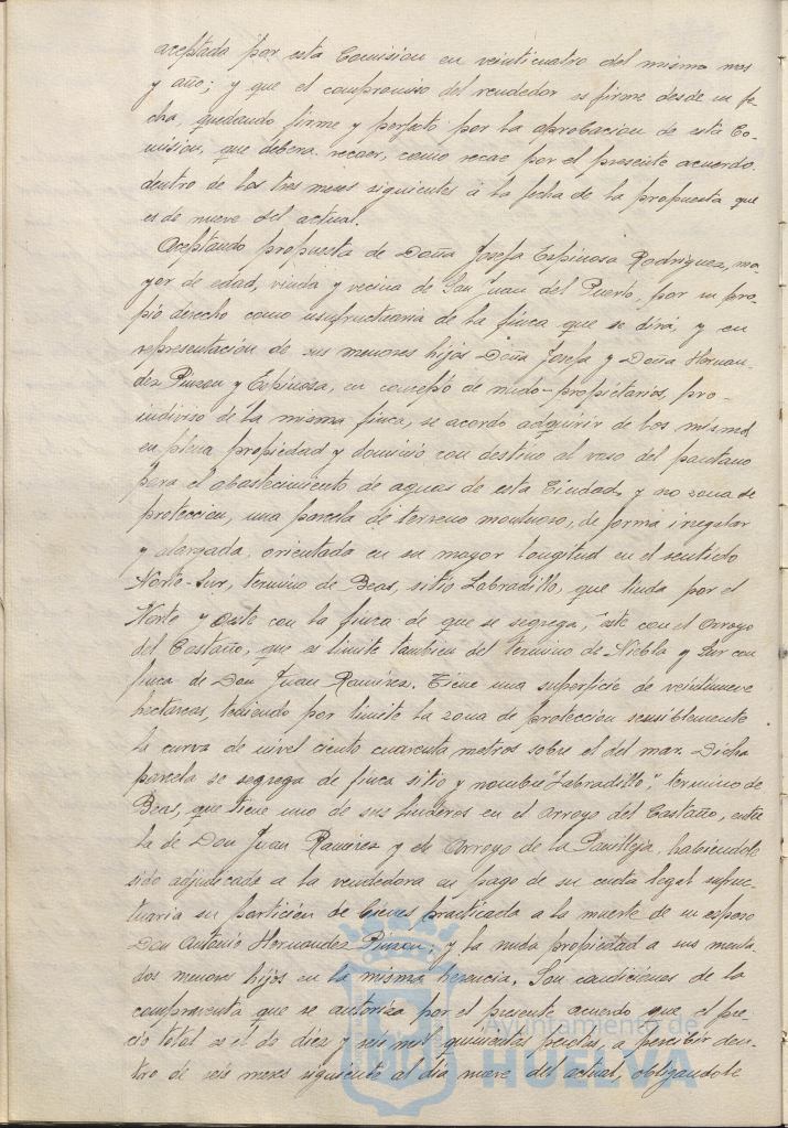 * Image 31