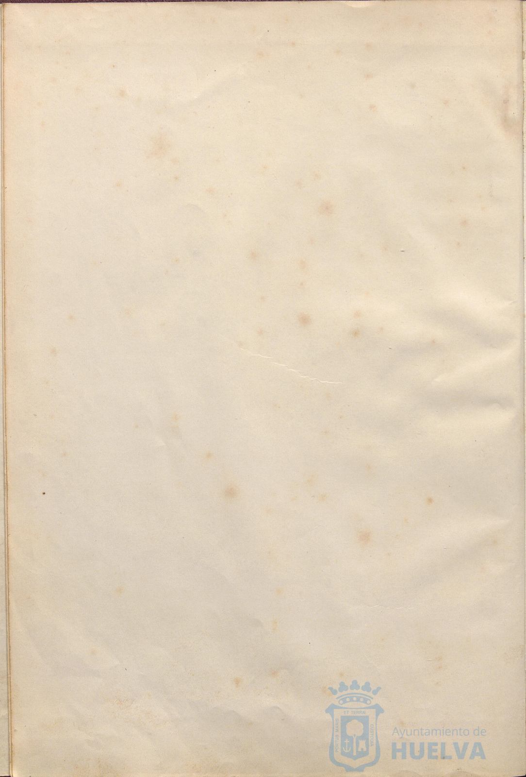 * Image 7