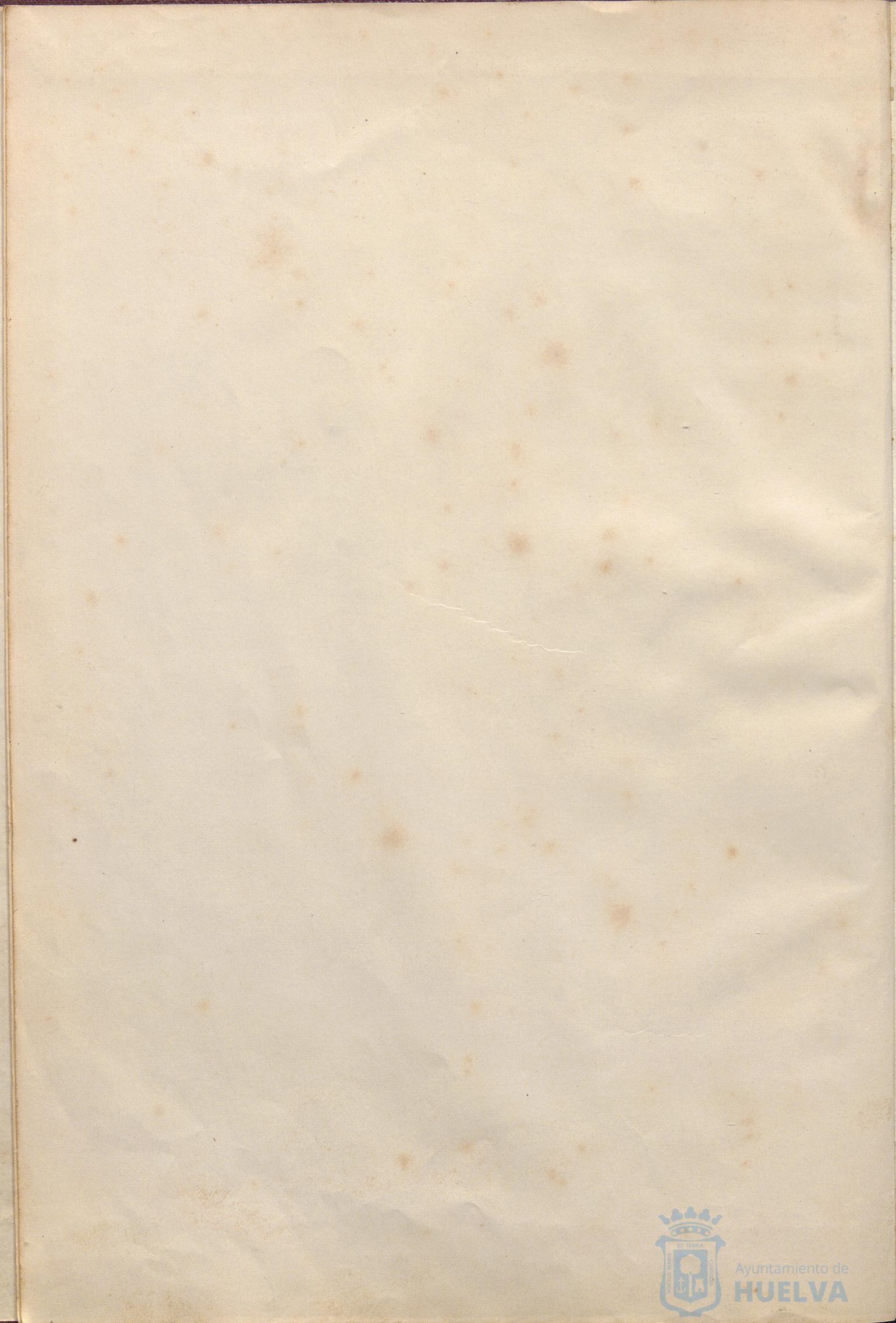 * Image 7