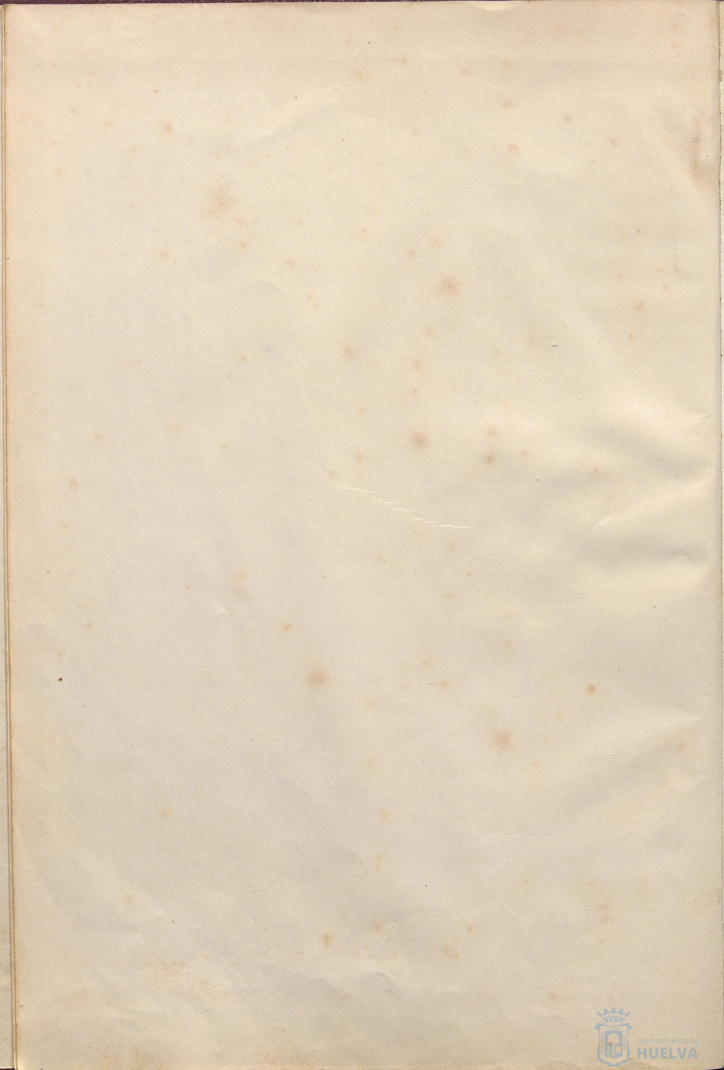 * Image 7