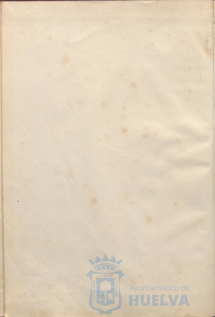 * Image 7