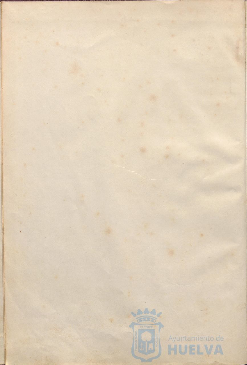 * Image 7