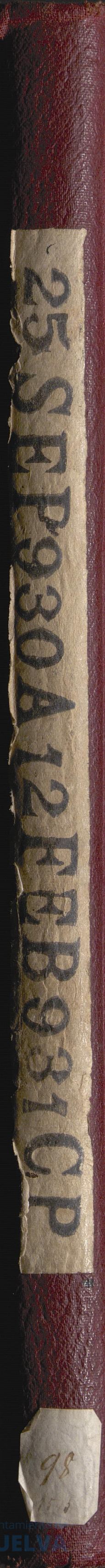 * Image 1