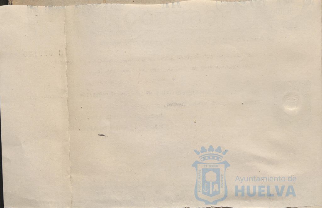 * Image 7