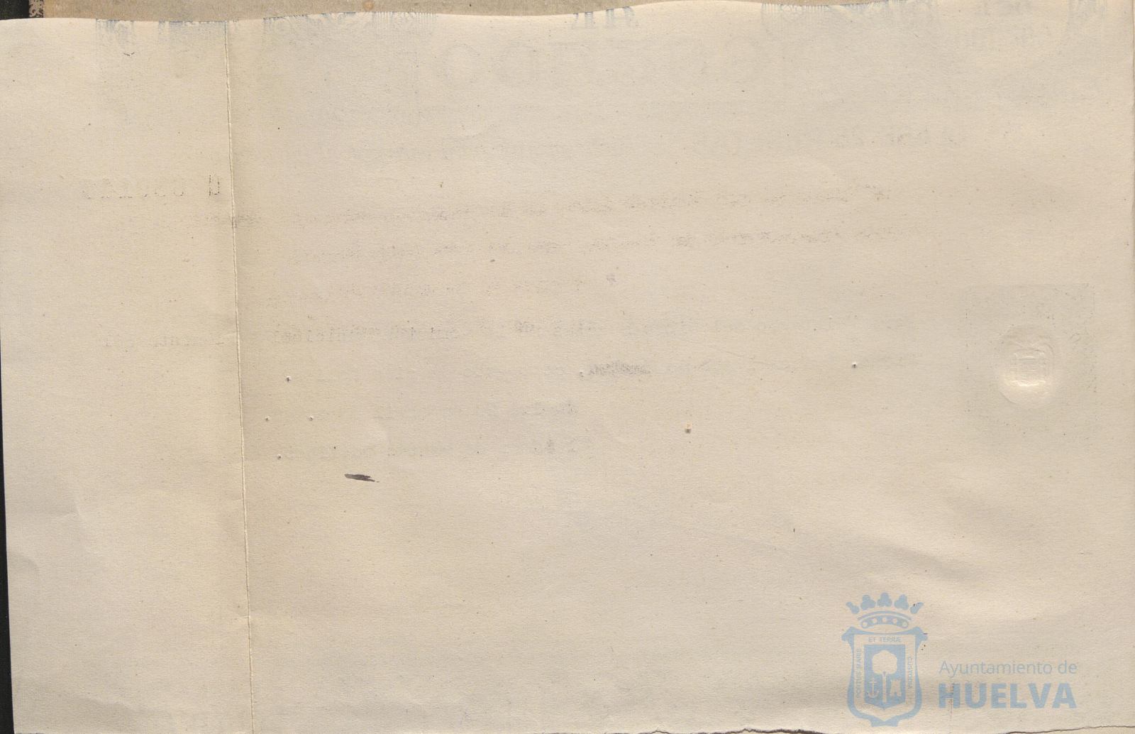 * Image 7