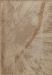 AMH-10853_0212.jpg - 