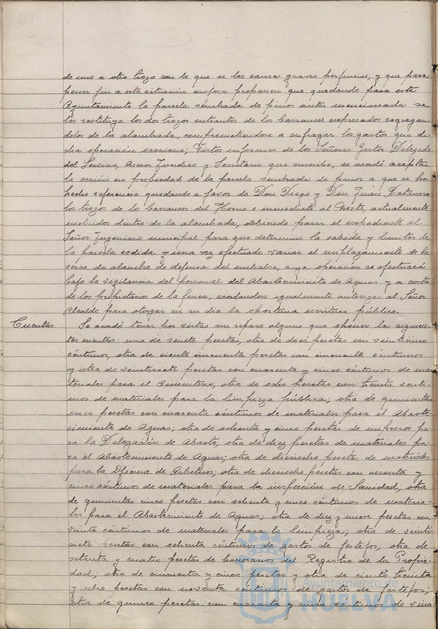 * Image 41