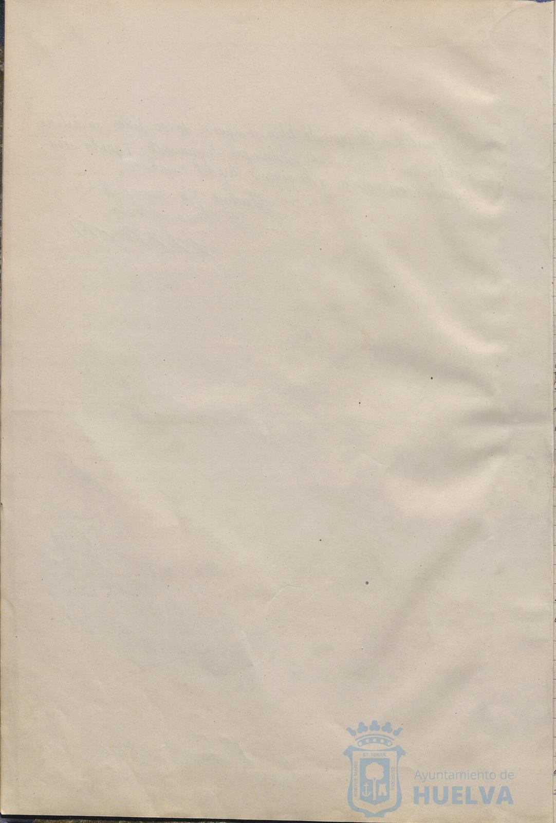 * Image 7