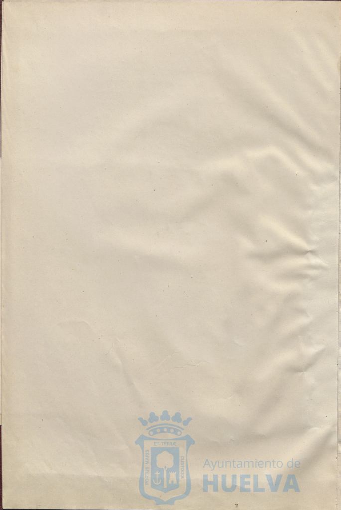 * Image 7