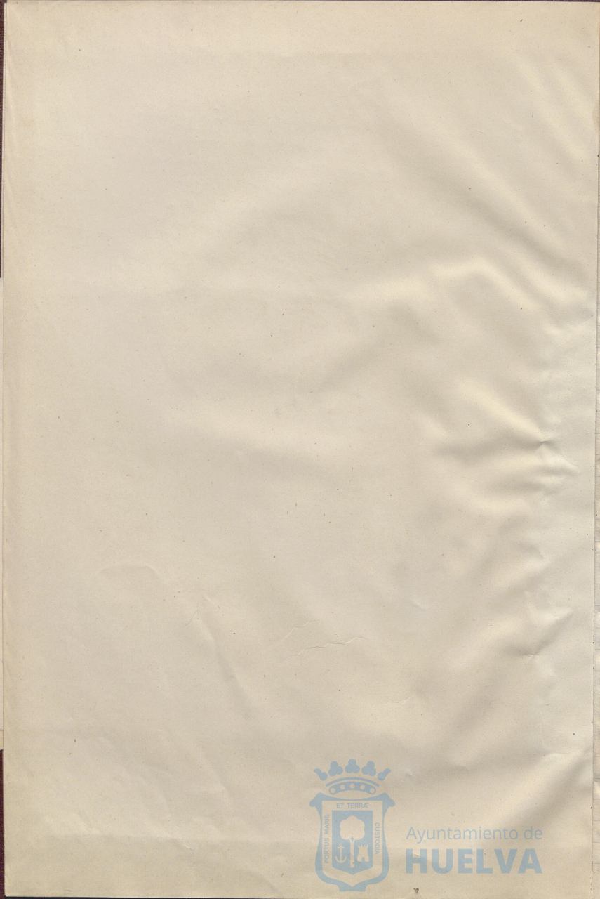 * Image 7