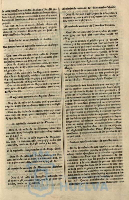 * Image 238
