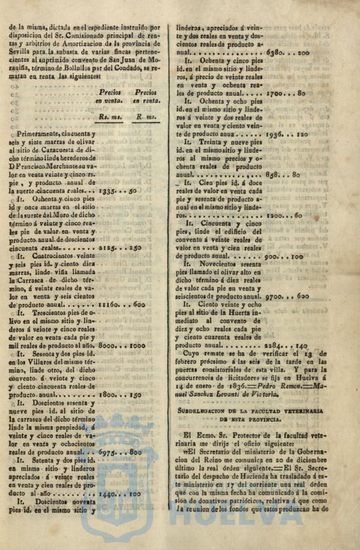 * Image 32