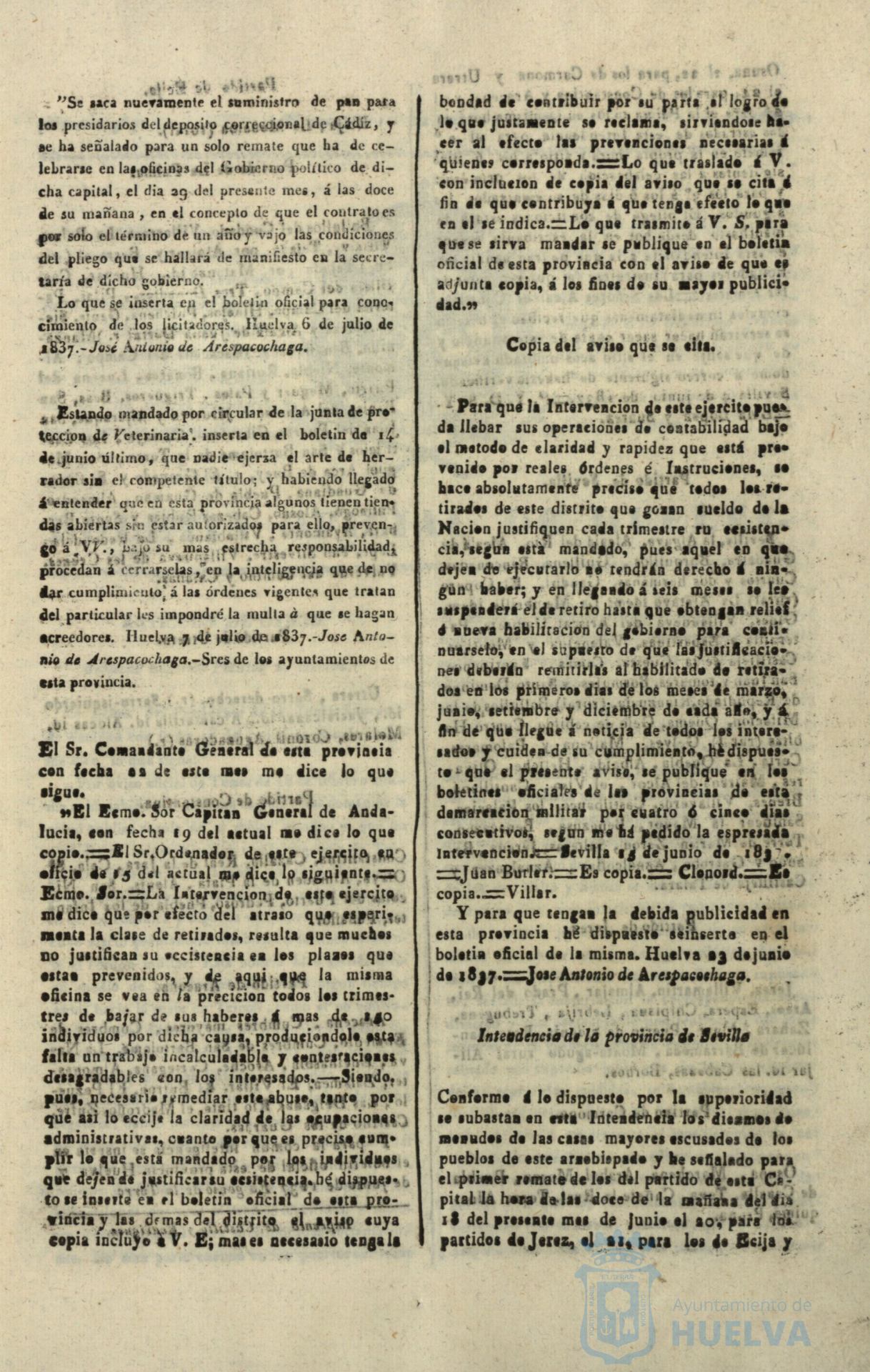* Image 217