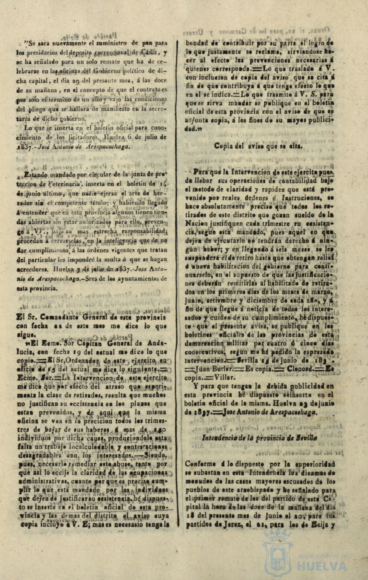 * Image 217
