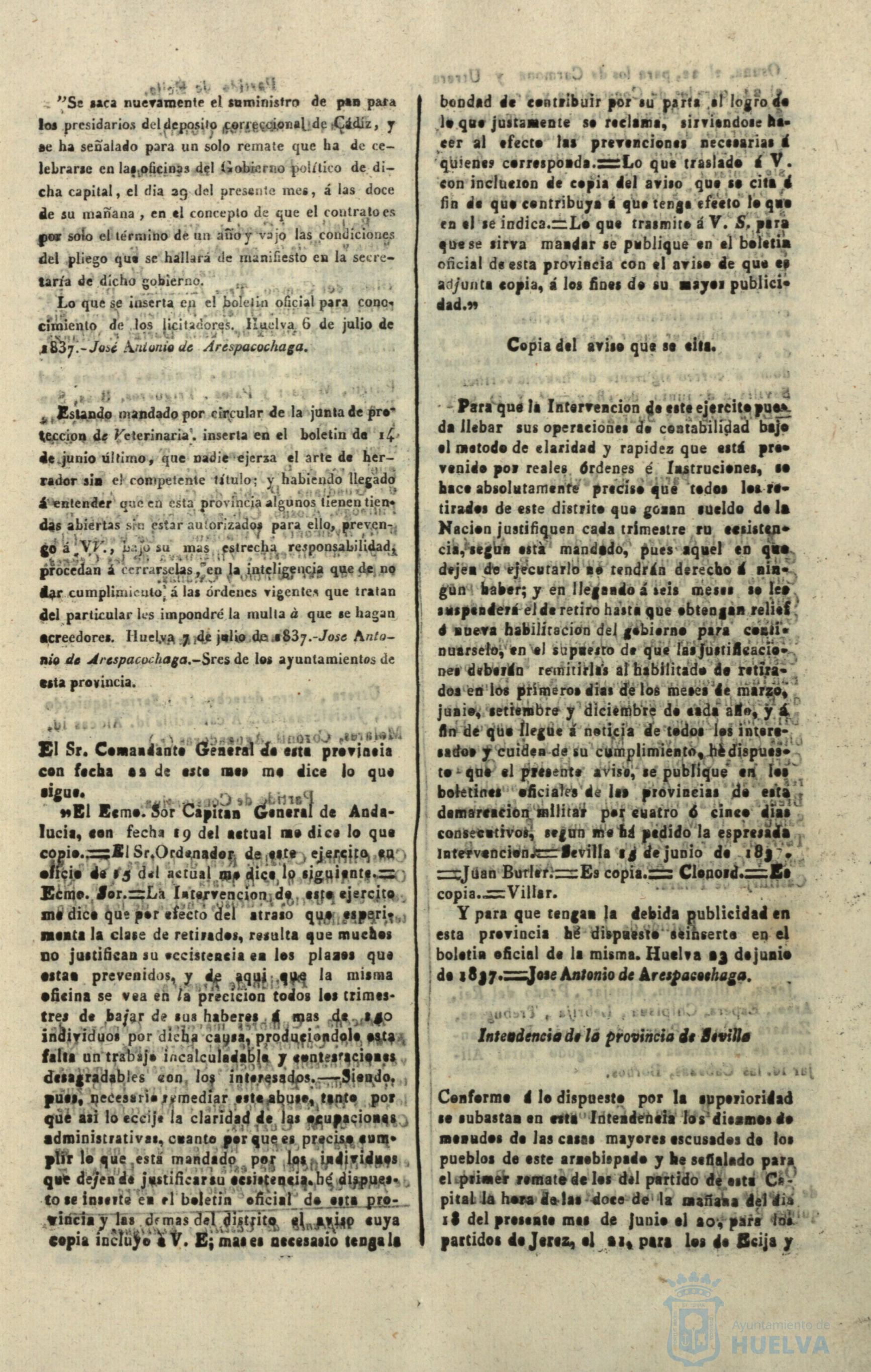* Image 217