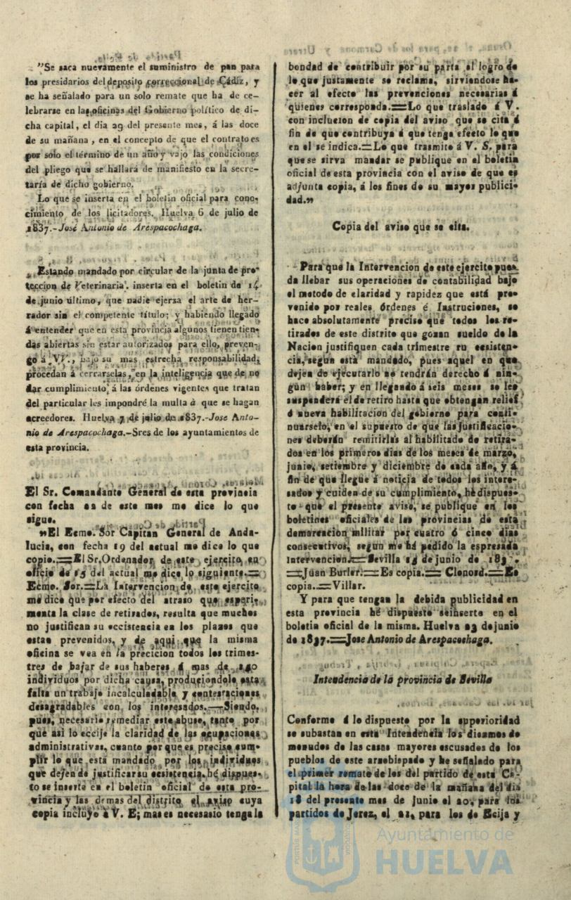 * Image 217