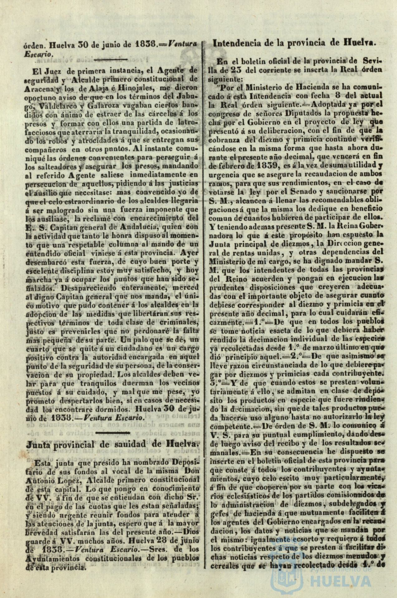* Image 203
