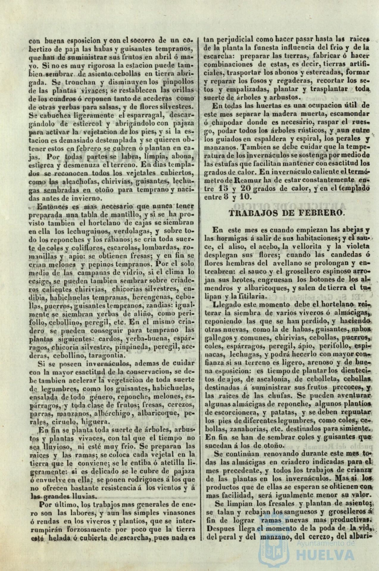 * Image 215