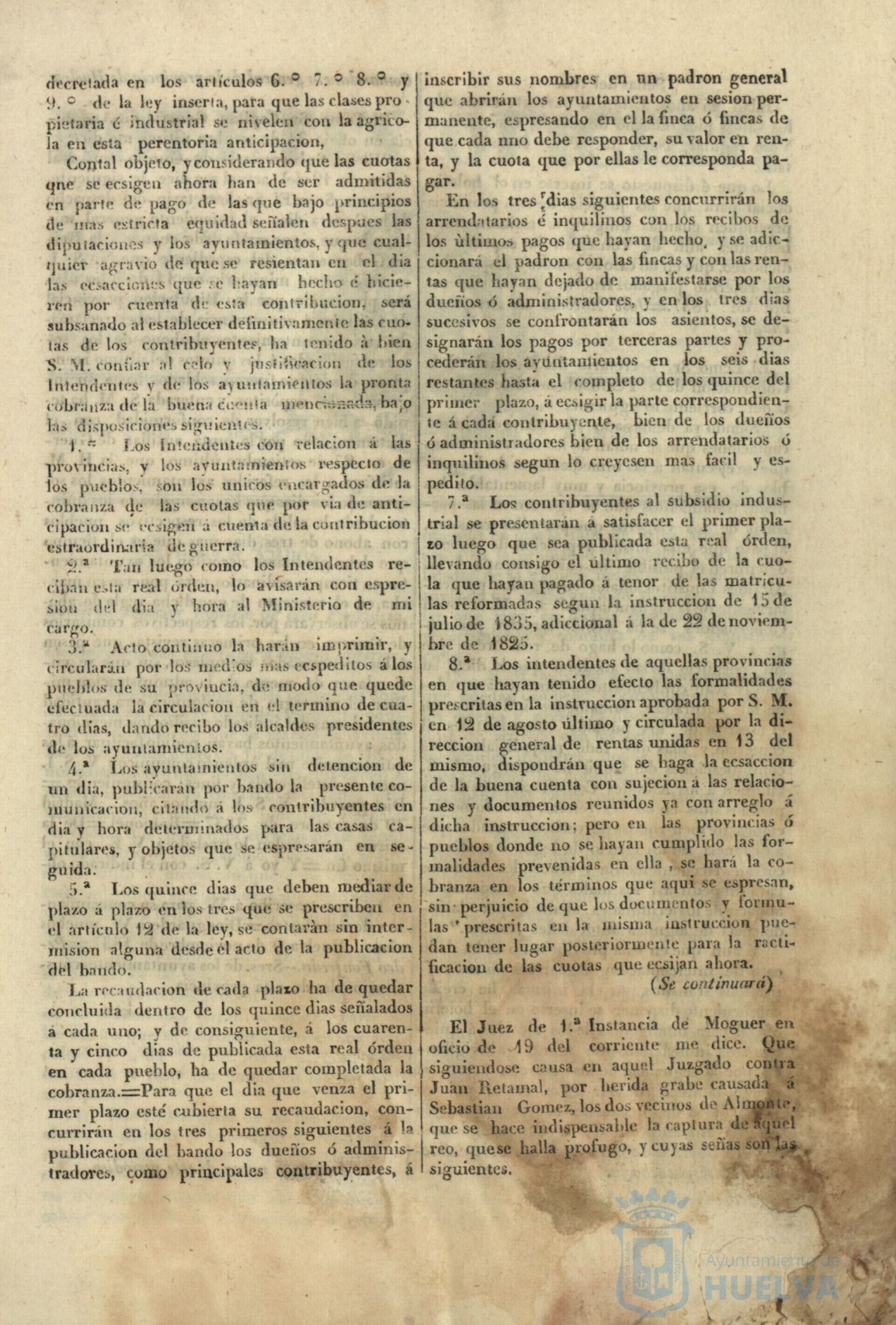 * Image 4
