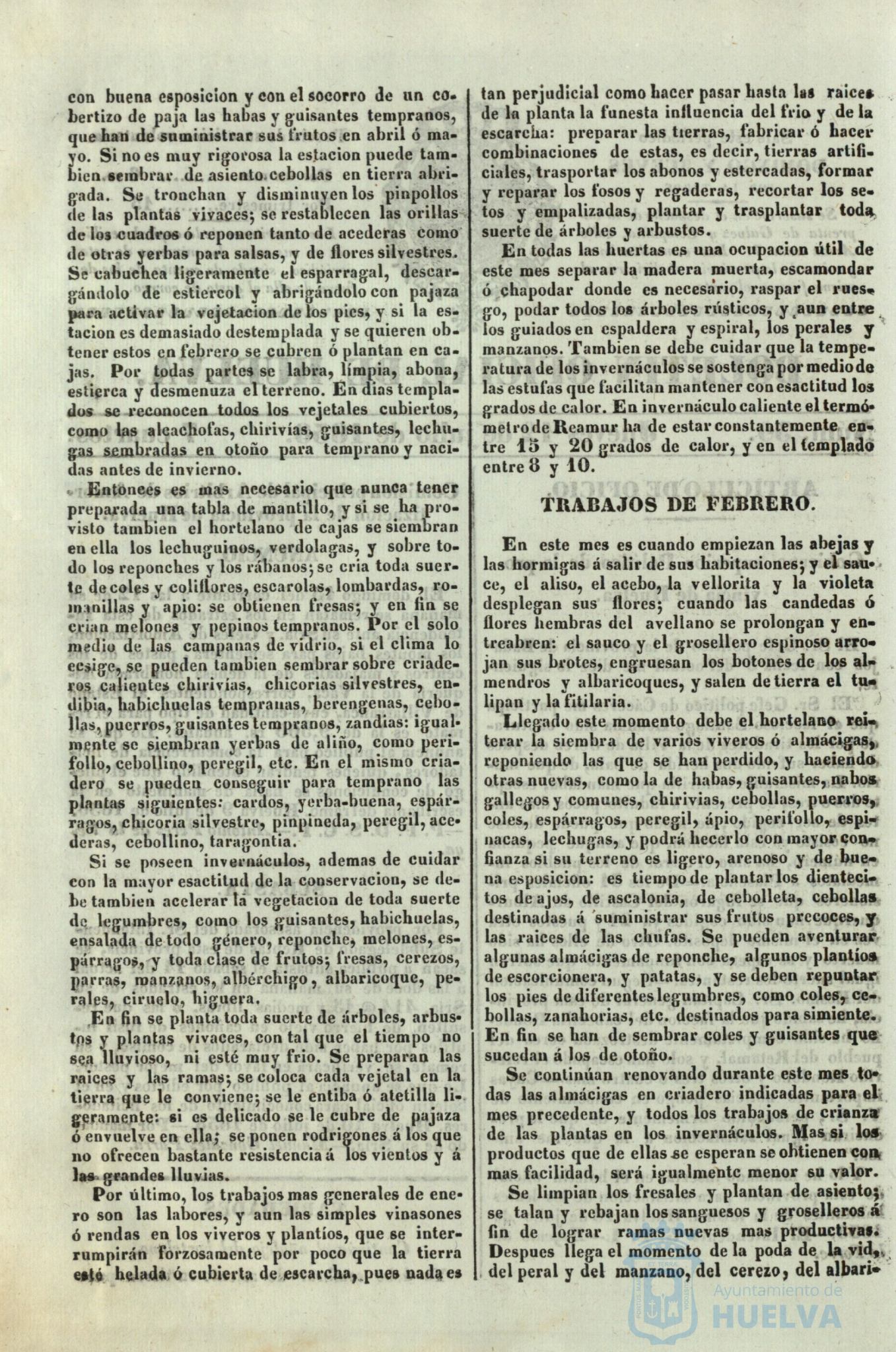 * Image 215