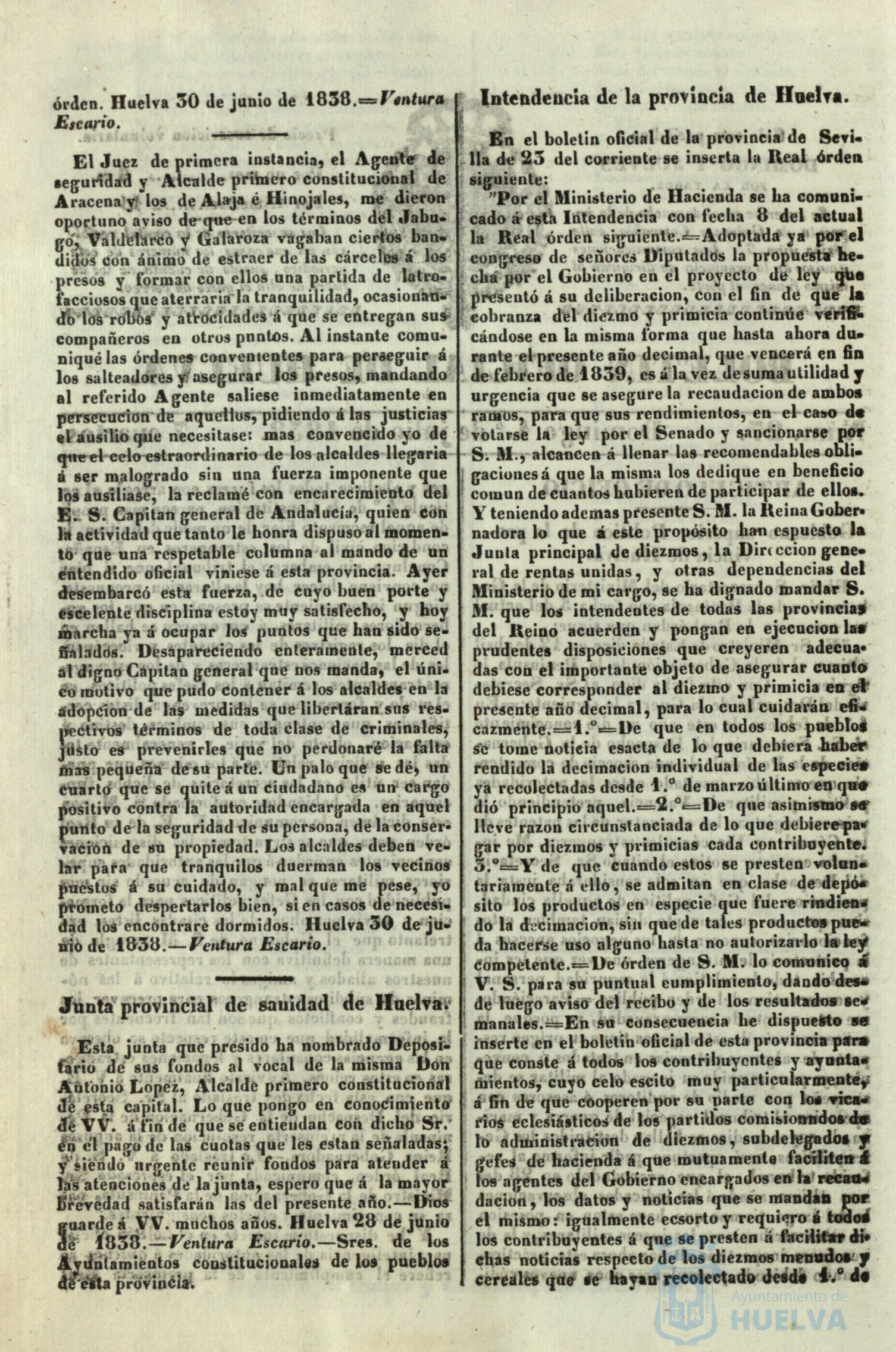 * Image 203