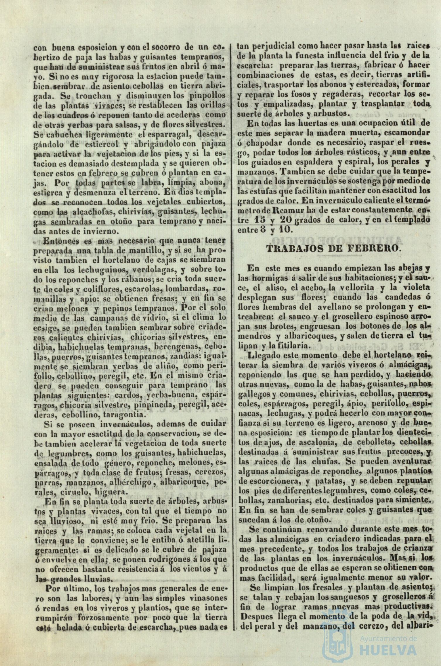 * Image 215