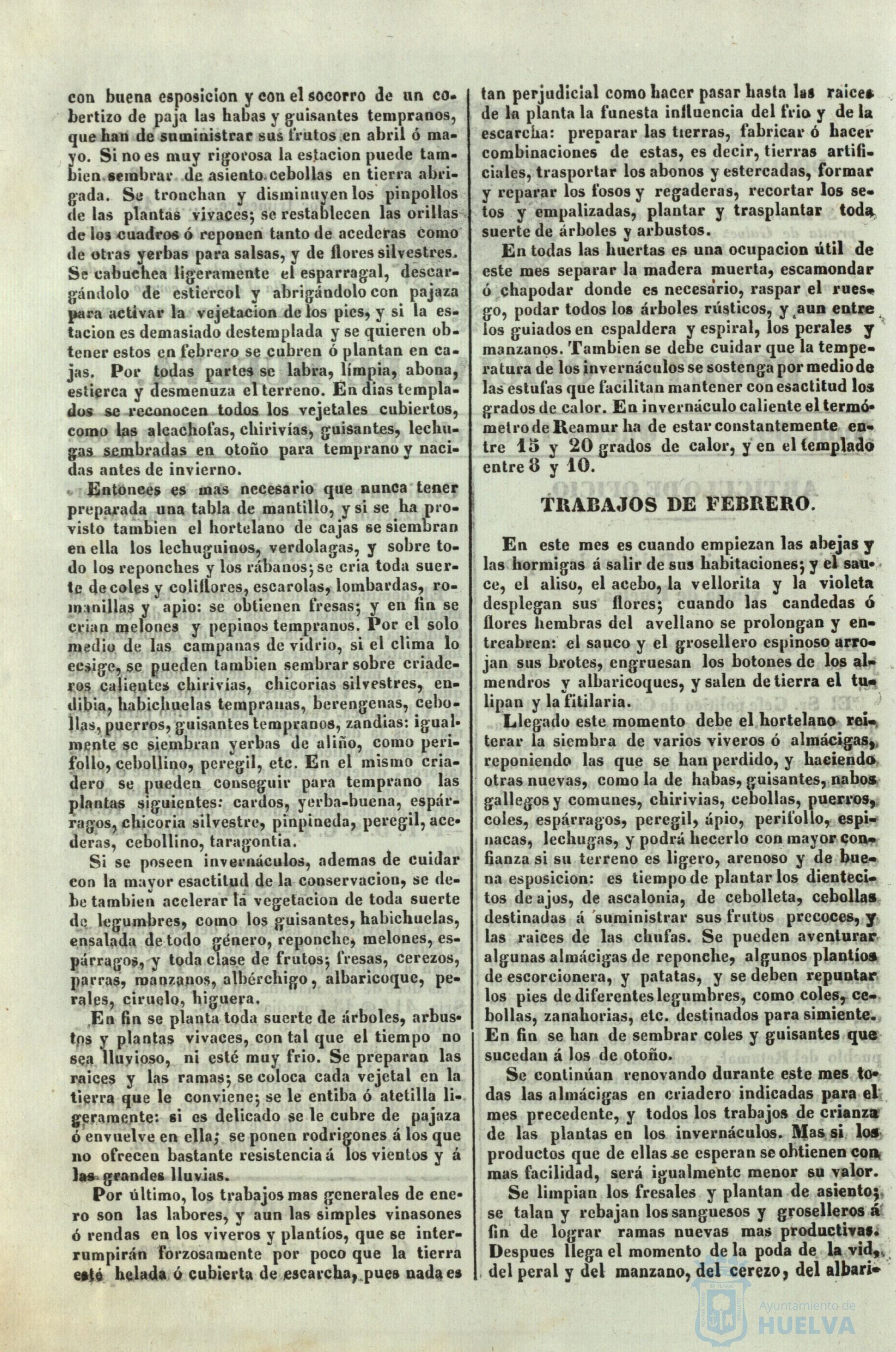 * Image 215