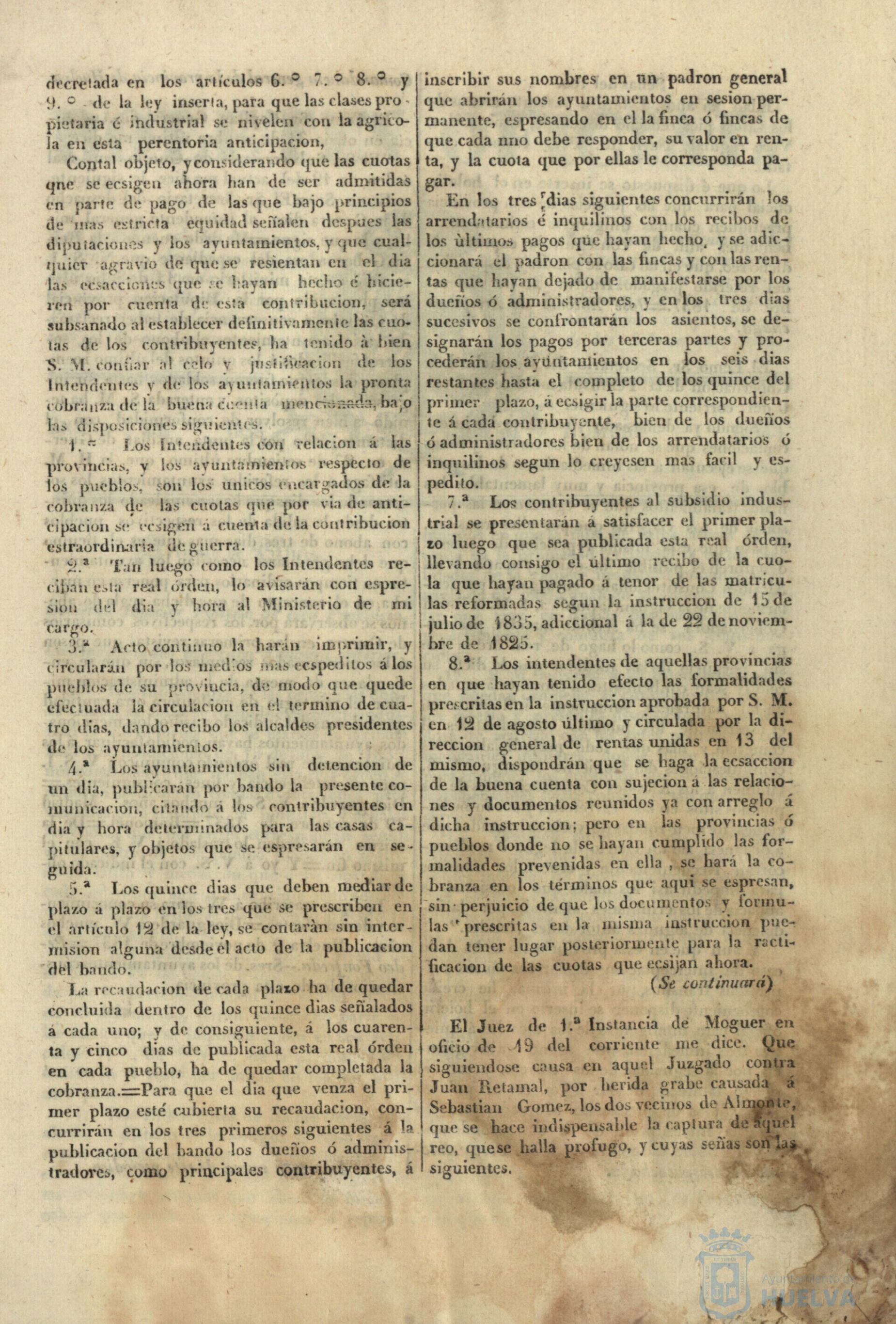 * Image 4