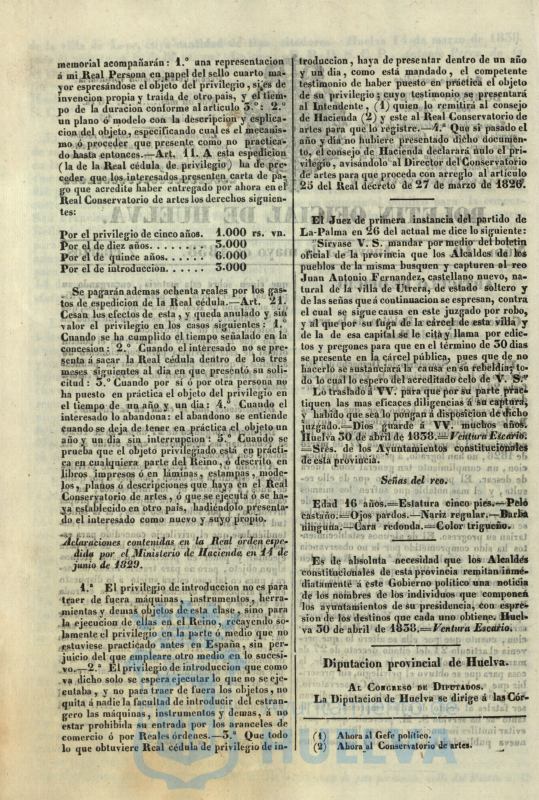 * Image 135