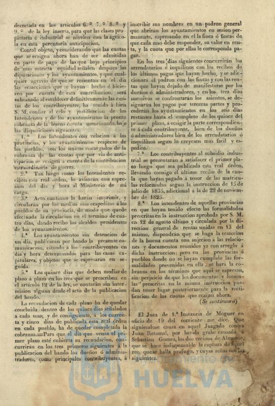 * Image 4