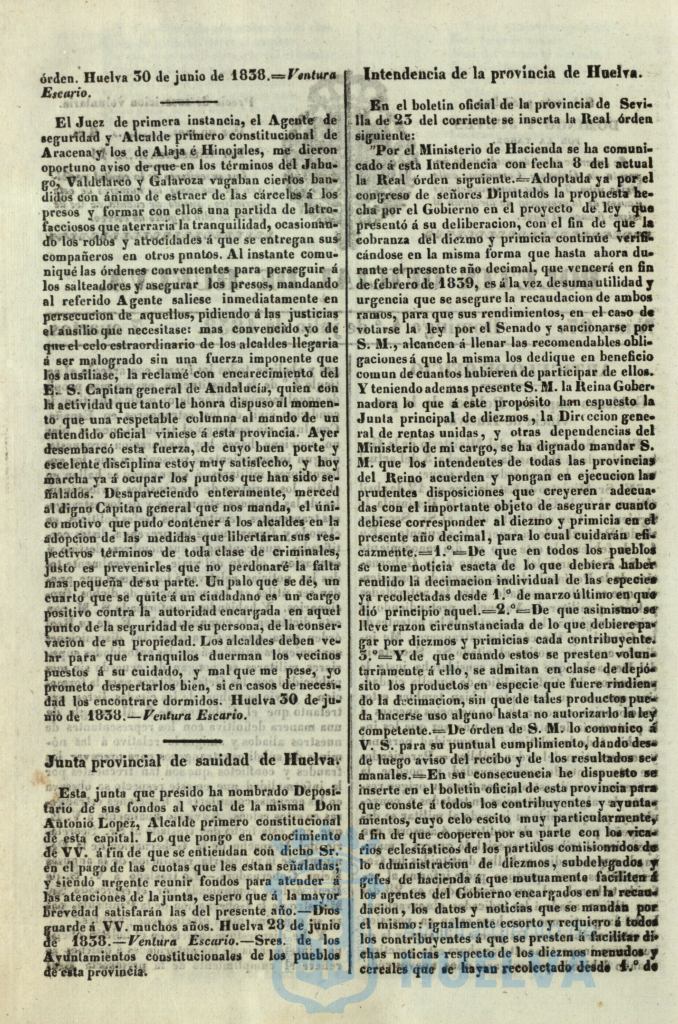 * Image 203