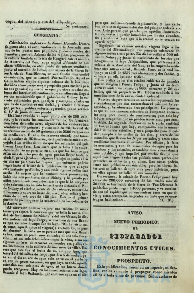 * Image 216