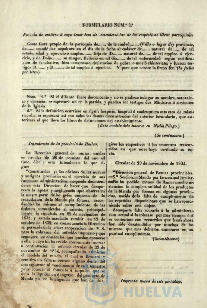 * Image 21