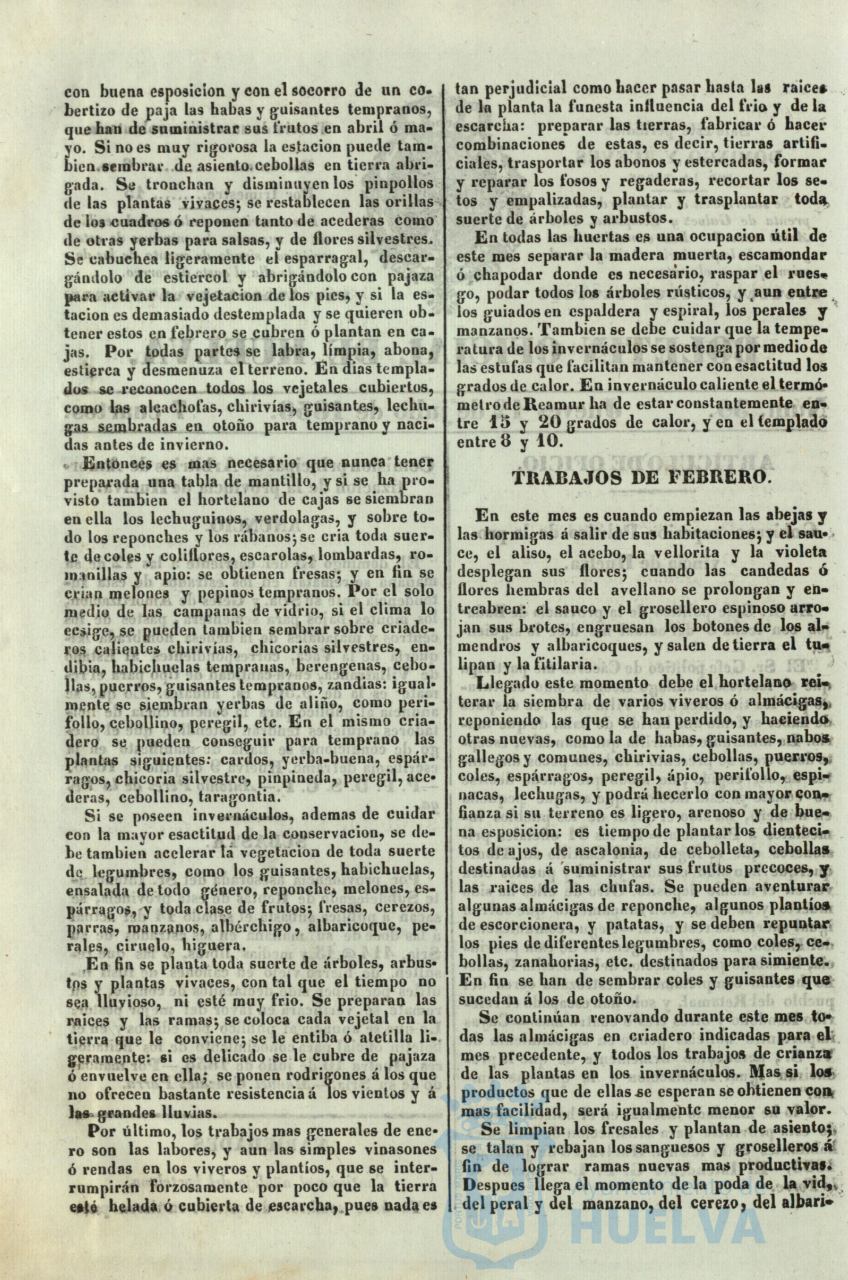* Image 215