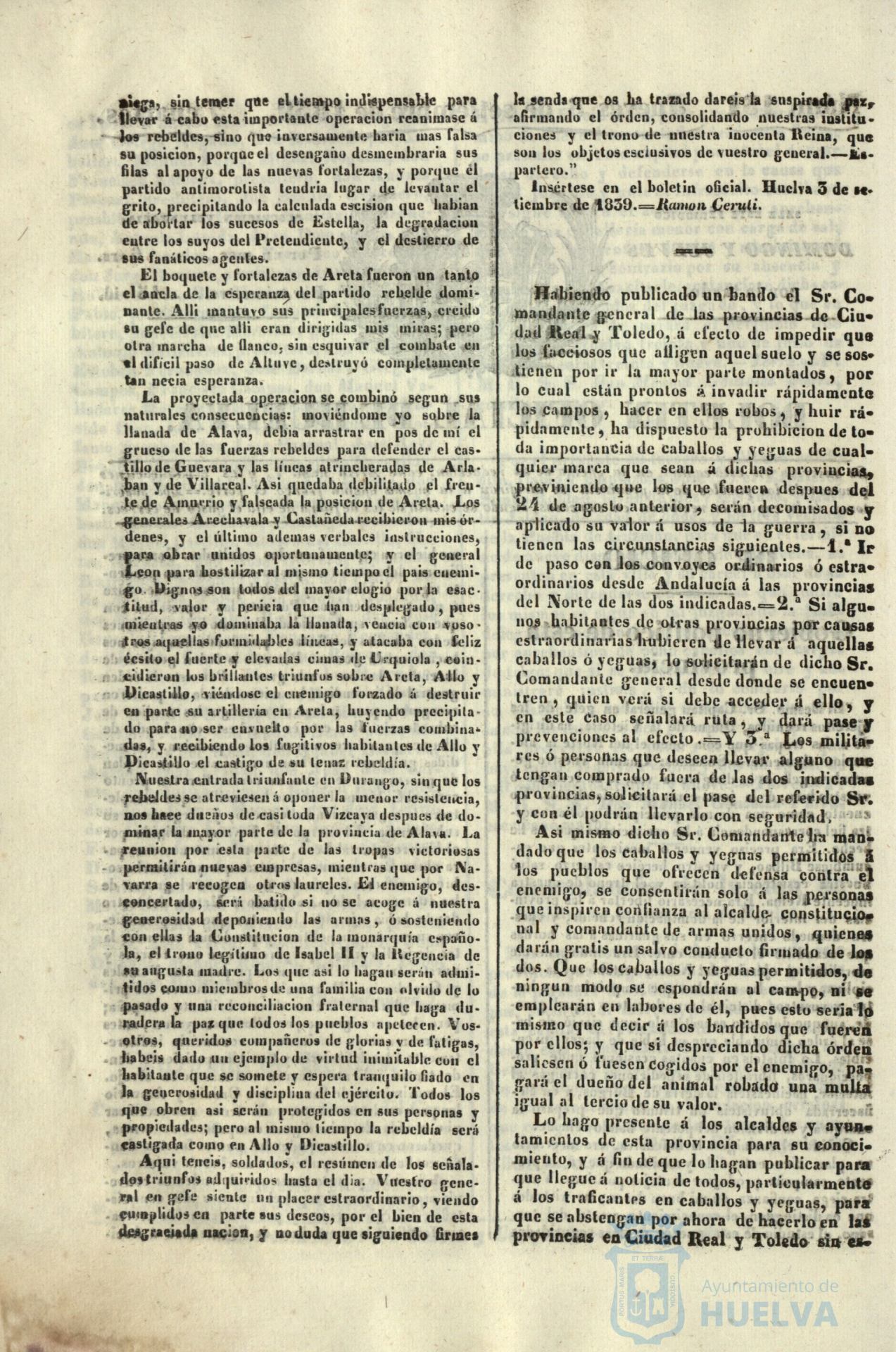 * Image 305