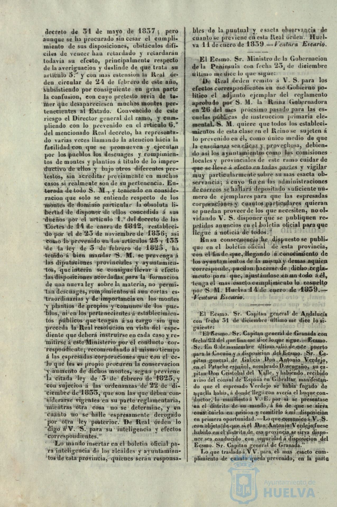 * Image 19