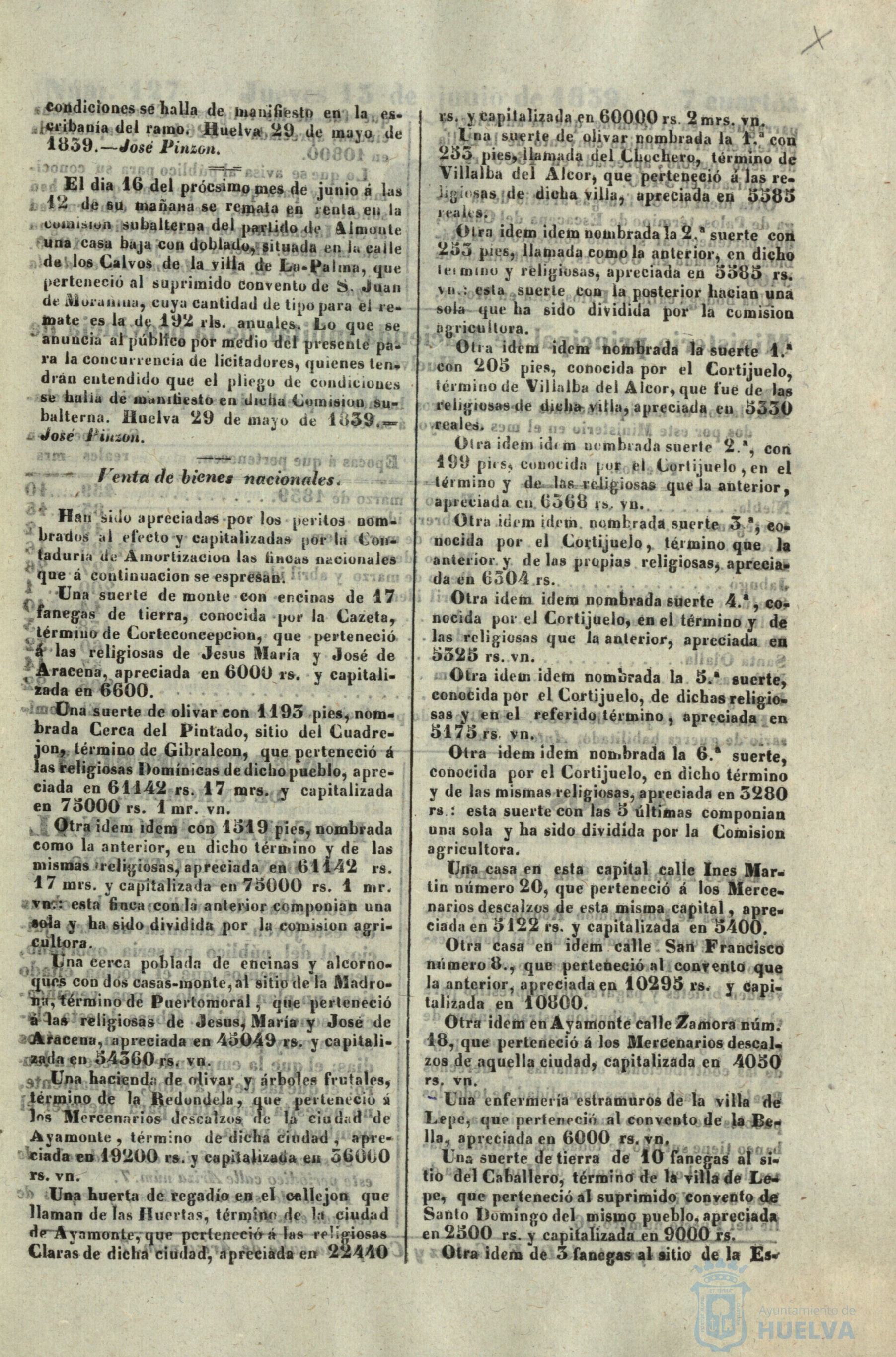 * Image 203