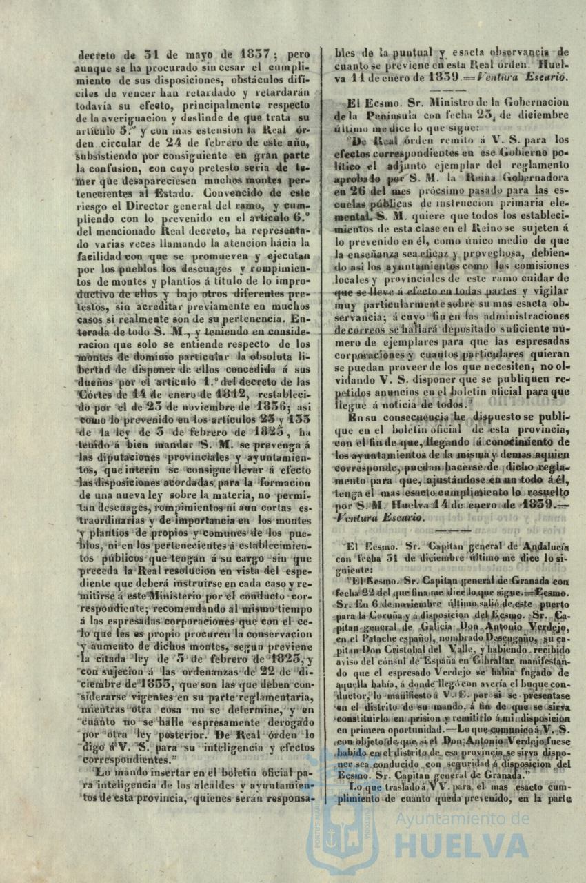 * Image 19