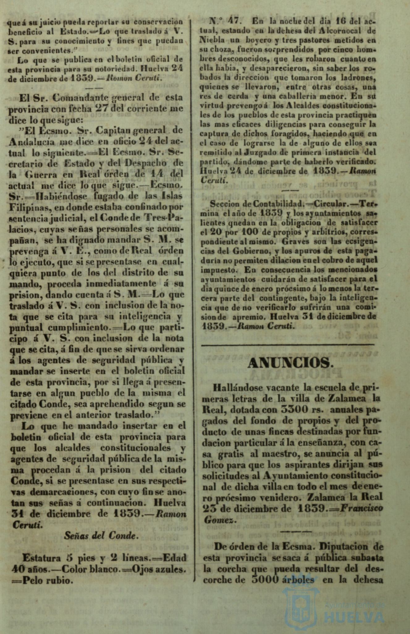 * Image 5